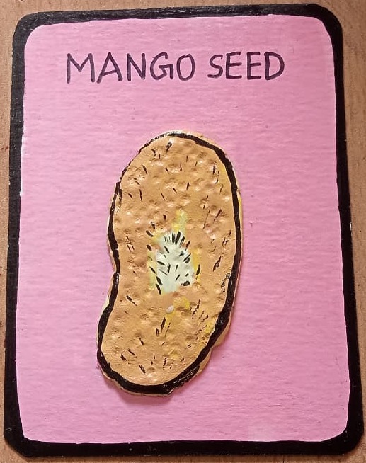 Mango Seed