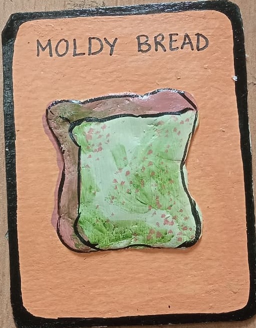 Moldy Bread