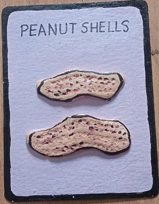 Peanut Shell